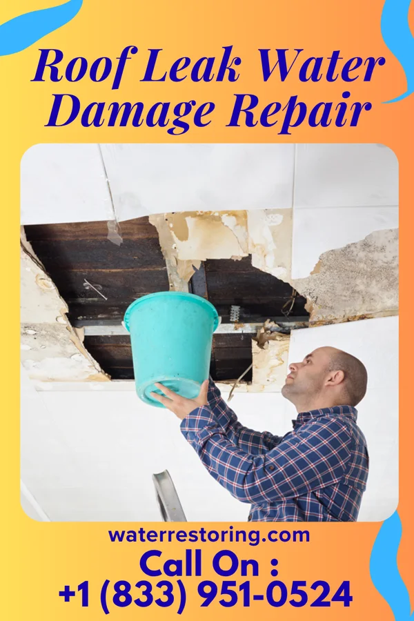 Roof Leak Water Damage Repair in Augusta, MI