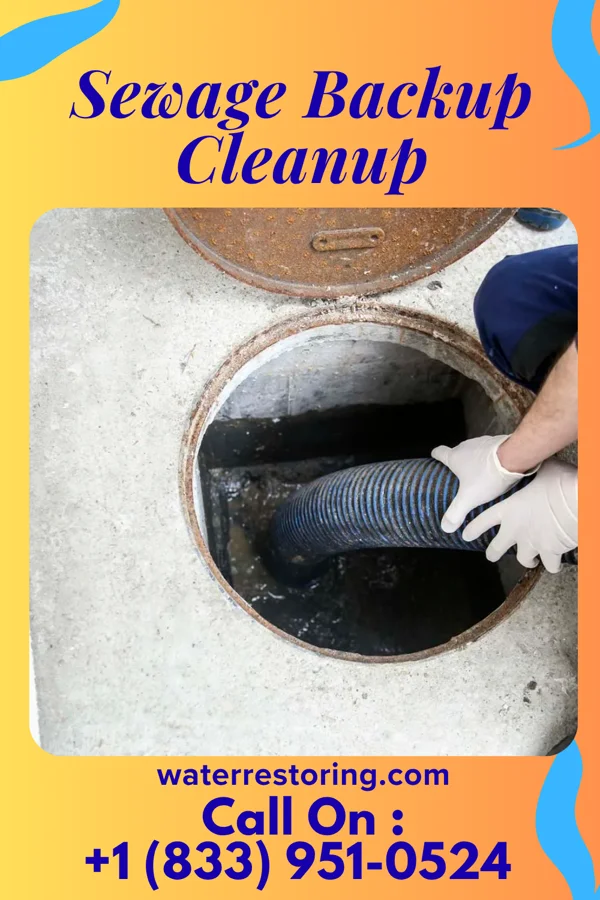 Sewage Backup Cleanup in Augusta, MI