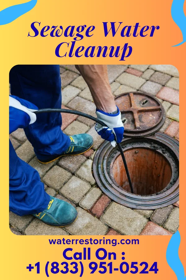 Sewage Water Cleanup in Augusta, MI